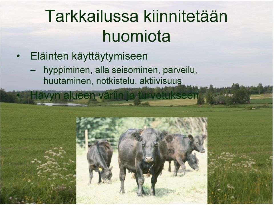 seisominen, parveilu, huutaminen,