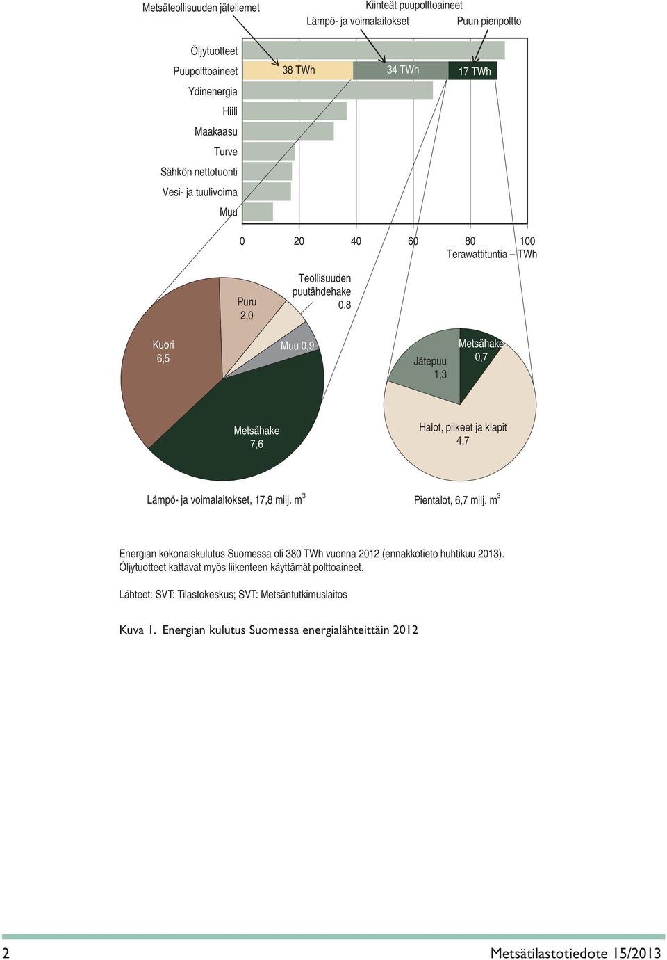 pilkeet ja klapit 4,7 Lämpö- ja voimalaitokset, 17,8 milj. m 3 Pientalot, 6,7 milj. m 3 Energian kokonaiskulutus Suomessa oli 380 TWh vuonna 2012 (ennakkotieto huhtikuu 2013).