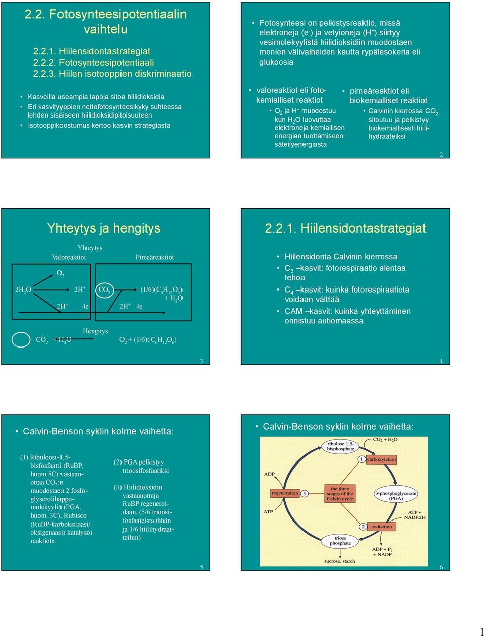 kasvin strategiasta Fotosynteesi on pelkistysreaktio, missä elektroneja (e ) ja vetyioneja (H + ) siirtyy vesimolekyylistä hiilidioksidiin muodostaen monien välivaiheiden kautta rypälesokeria eli