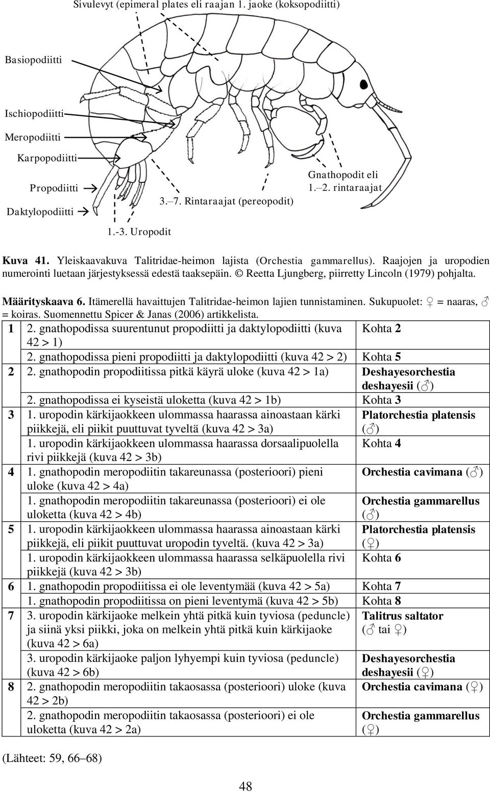 Raajojen ja uropodien numerointi luetaan järjestyksessä edestä taaksepäin. Reetta Ljungberg, piirretty Lincoln (1979) pohjalta. Määrityskaava 6.