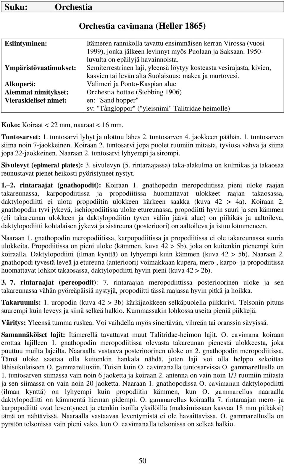 Välimeri ja Ponto-Kaspian alue Aiemmat nimitykset: Orchestia hottae (Stebbing 1906) Vieraskieliset nimet: Koko: Koiraat < 22 mm, naaraat < 16 mm.