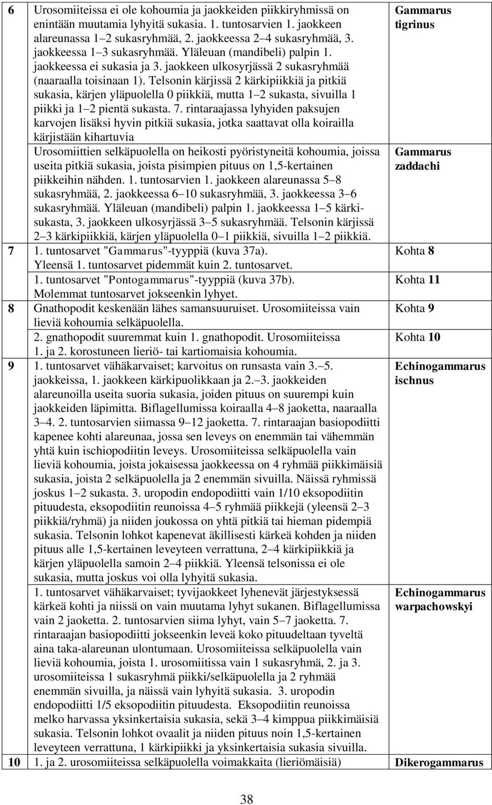 Telsonin kärjissä 2 kärkipiikkiä ja pitkiä sukasia, kärjen yläpuolella 0 piikkiä, mutta 1 2 sukasta, sivuilla 1 piikki ja 1 2 pientä sukasta. 7.