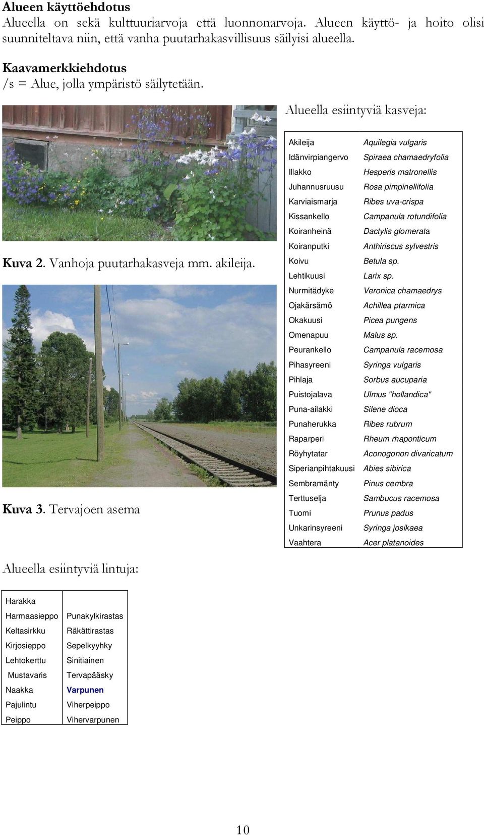 Tervajoen asema Akileija Aquilegia vulgaris Idänvirpiangervo Spiraea chamaedryfolia Illakko Hesperis matronellis Juhannusruusu Rosa pimpinellifolia Karviaismarja Ribes uva-crispa Kissankello