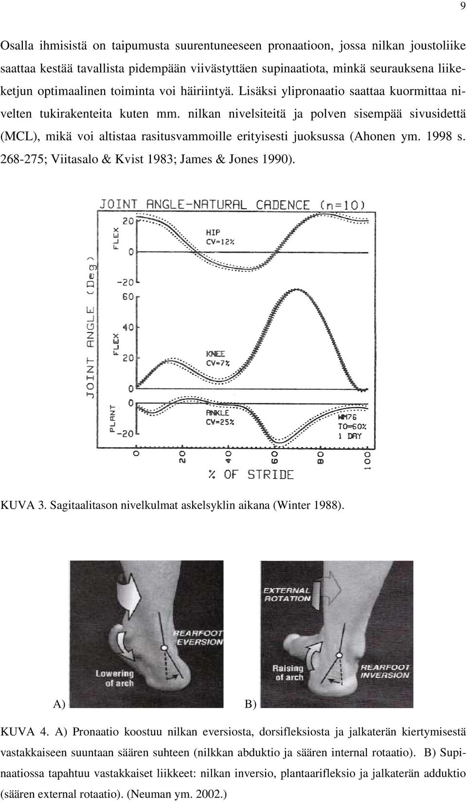 nilkan nivelsiteitä ja polven sisempää sivusidettä (MCL), mikä voi altistaa rasitusvammoille erityisesti juoksussa (Ahonen ym. 1998 s. 268-275; Viitasalo & Kvist 1983; James & Jones 1990). KUVA 3.