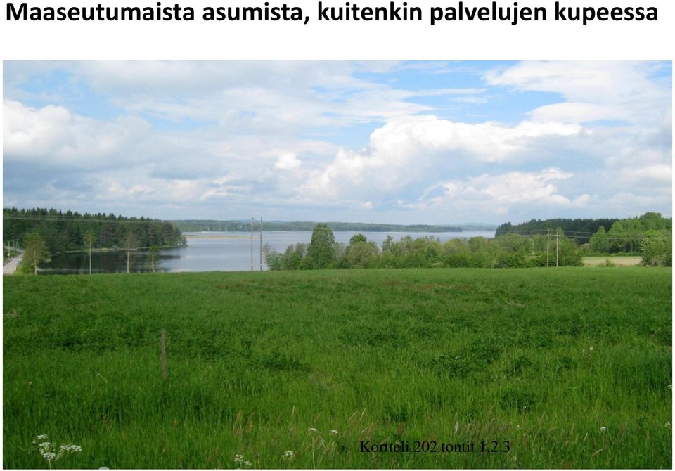 palvelujen kupeessa