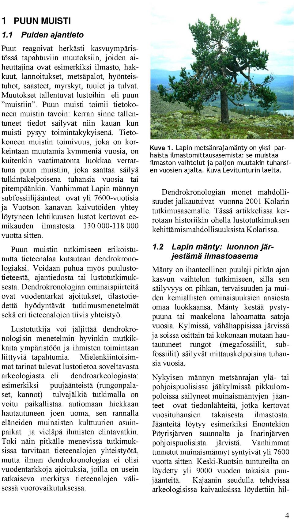 tuulet ja tulvat. Muutokset tallentuvat lustoihin eli puun muistiin.