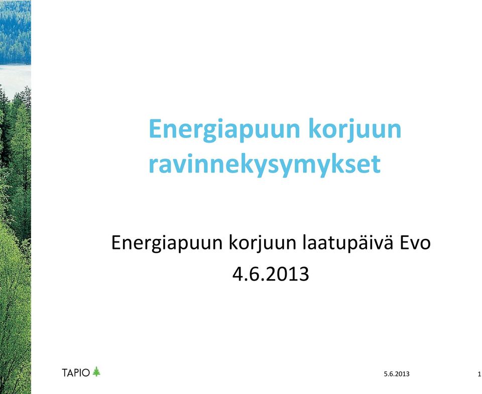 laatupäivä Evo 4.6.