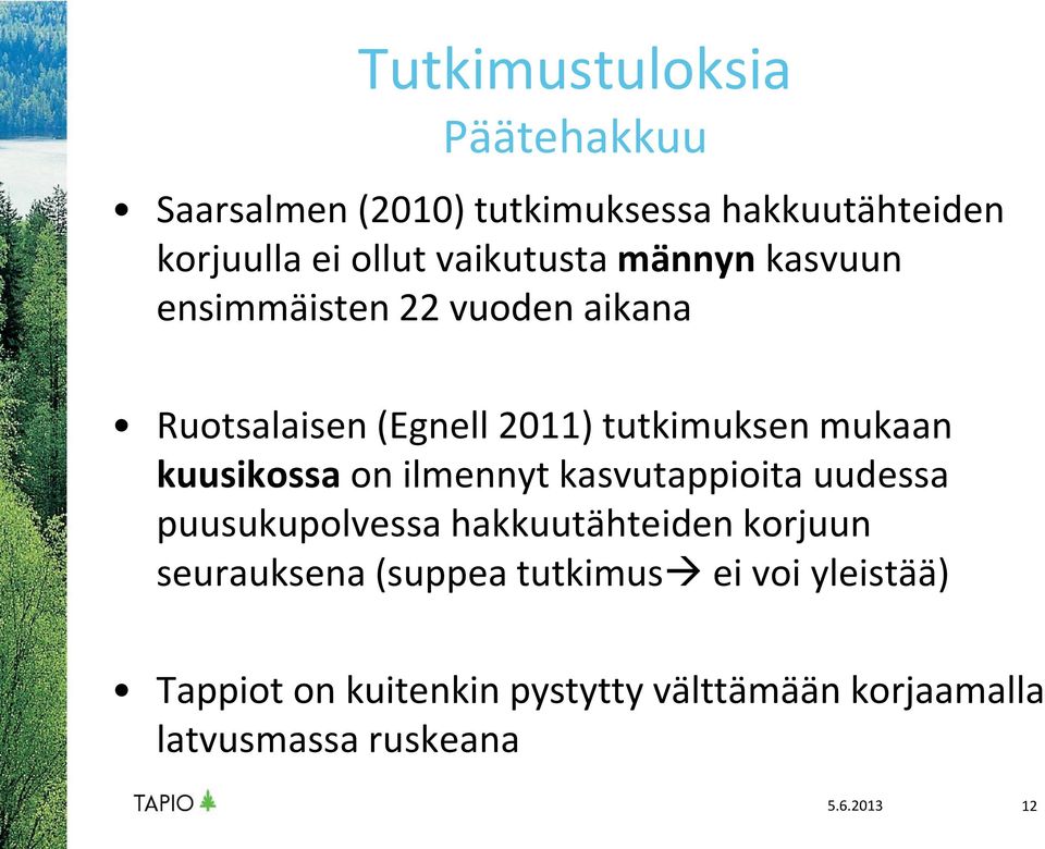 kuusikossa on ilmennyt kasvutappioita uudessa puusukupolvessa hakkuutähteiden korjuun seurauksena