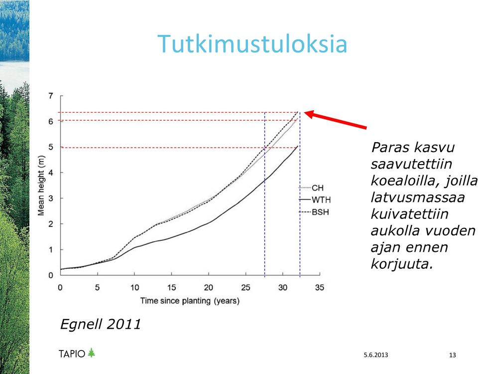 latvusmassaa kuivatettiin aukolla