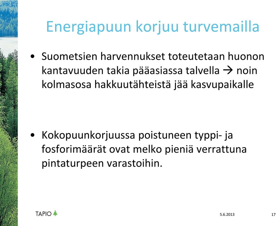 hakkuutähteistä jää kasvupaikalle Kokopuunkorjuussa poistuneen typpi-