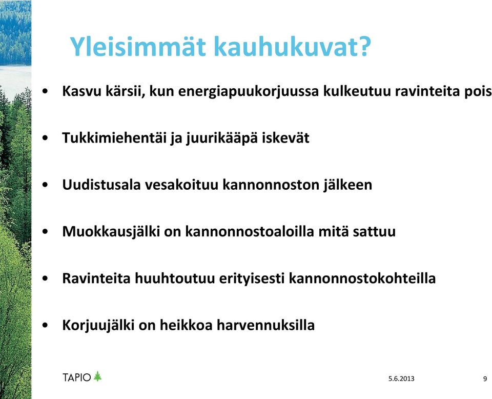 ja juurikääpä iskevät Uudistusala vesakoituu kannonnoston jälkeen Muokkausjälki