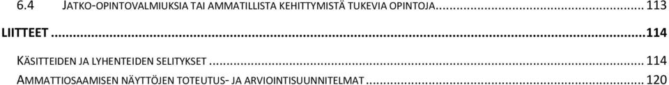 .. 114 KÄSITTEIDEN JA LYHENTEIDEN SELITYKSET.