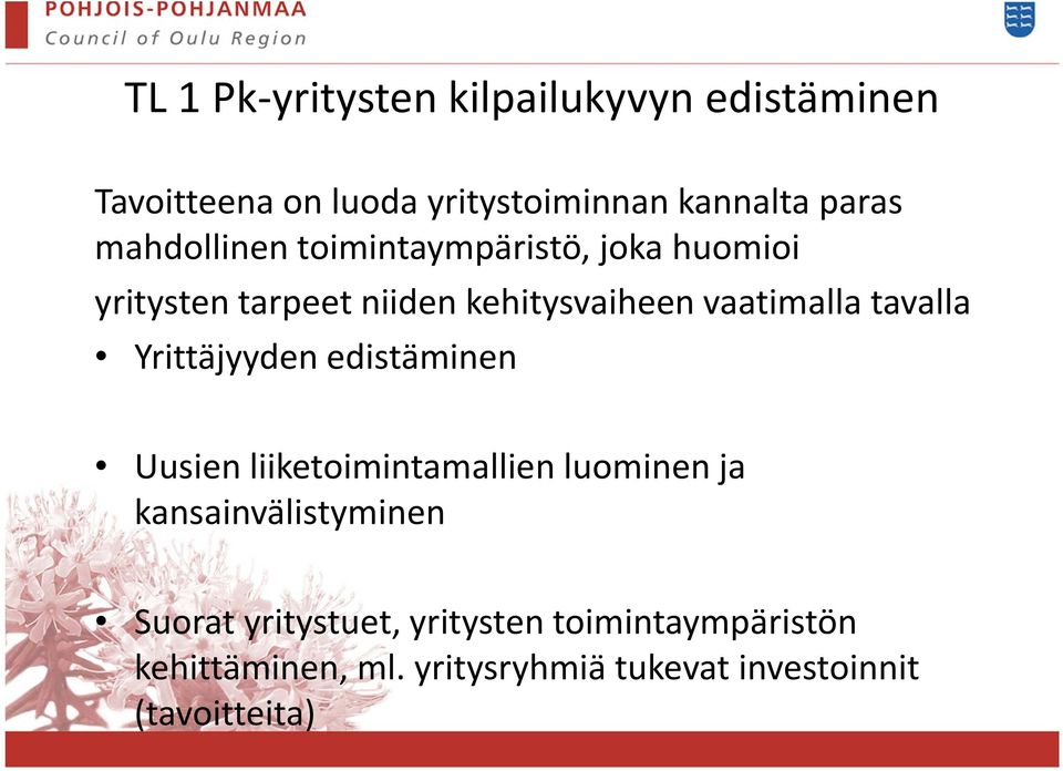 tavalla Yrittäjyyden edistäminen Uusien liiketoimintamallien luominen ja kansainvälistyminen Suorat