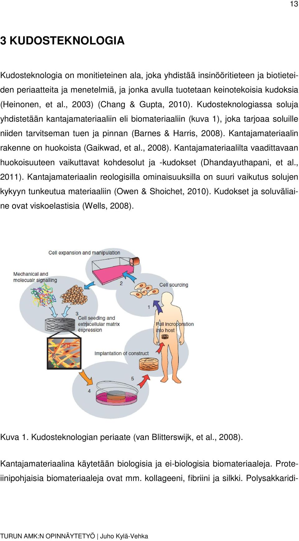 Kantajamateriaalin rakenne on huokoista (Gaikwad, et al., 2008). Kantajamateriaalilta vaadittavaan huokoisuuteen vaikuttavat kohdesolut ja -kudokset (Dhandayuthapani, et al., 2011).