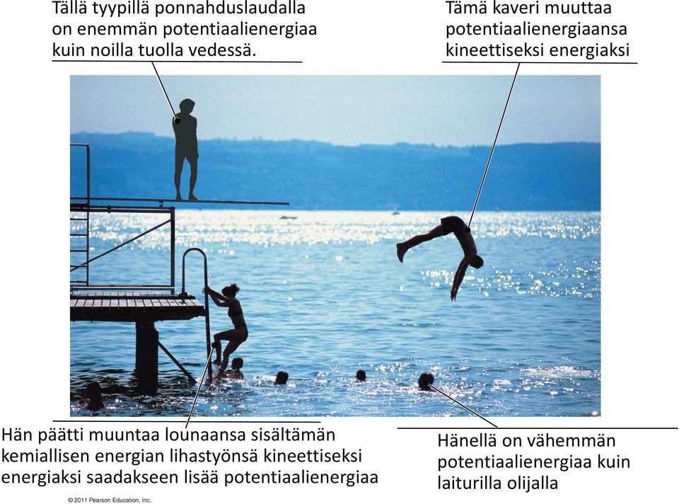 lounaansa sisältämän kemiallisen energian lihastyönsä kineettiseksi k i energiaksi