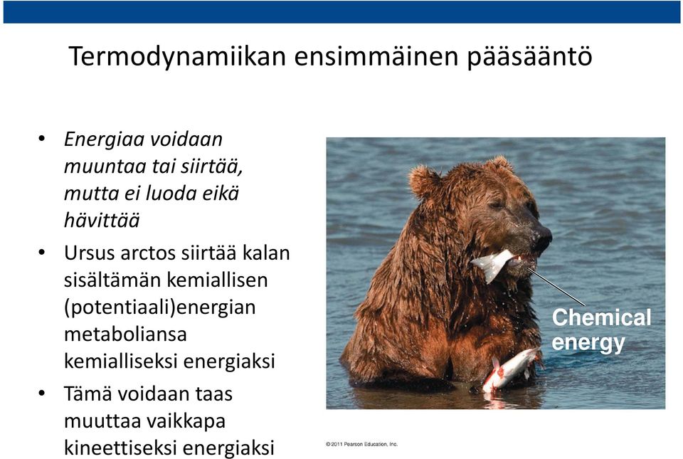 sisältämän kemiallisen (potentiaali)energian metaboliansa kemialliseksi