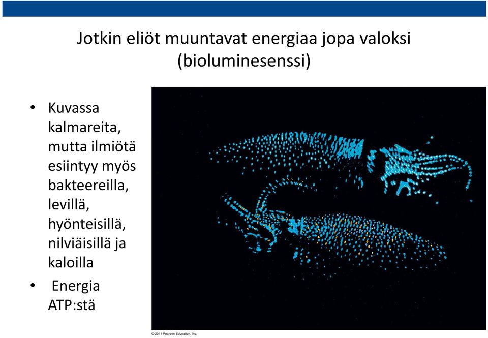 ilmiötä esiintyy myös bakteereilla, levillä,
