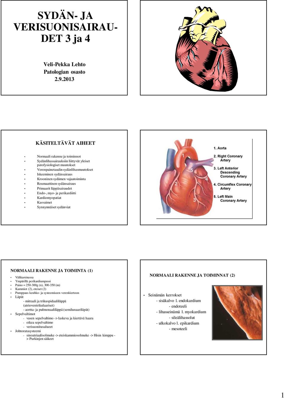 sydämen vajaatoiminta Reumaattinen sydänsairaus Primaarit läppäsairaudet Endo-, myo- ja perikardiitti Kardiomyopatiat Kasvaimet Synnynnäiset sydänviat RCA LCA CX LAD NORMAALI RAKENNE JA TOIMINTA (1)