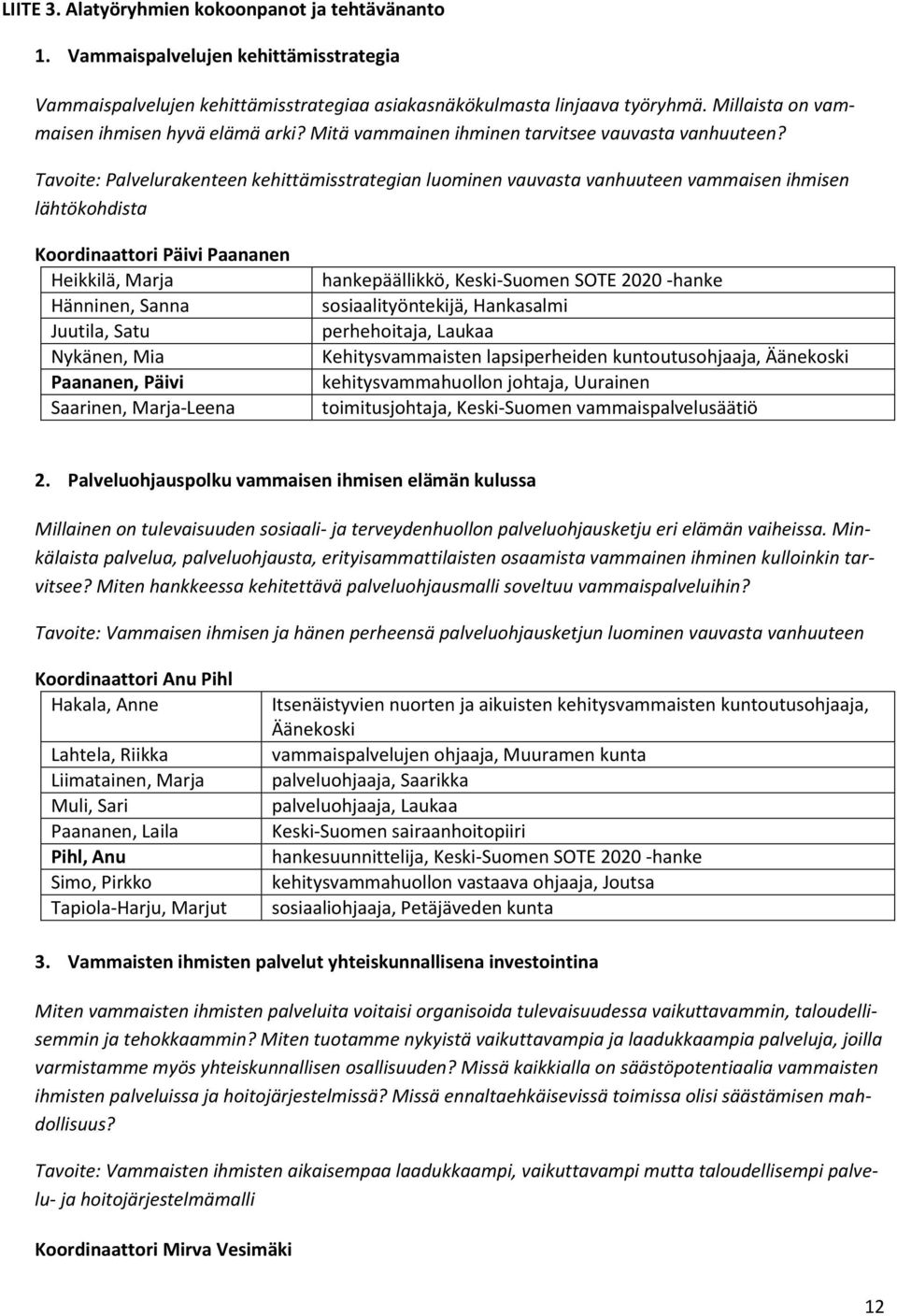 Tavoite: Palvelurakenteen kehittämisstrategian luominen vauvasta vanhuuteen vammaisen ihmisen lähtökohdista Koordinaattori Päivi Paananen Heikkilä, Marja Hänninen, Sanna Juutila, Satu Nykänen, Mia