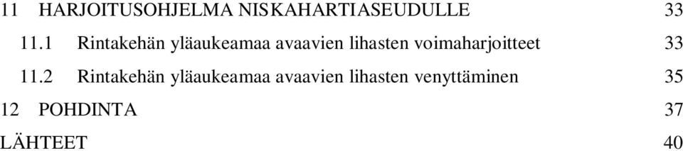 voimaharjoitteet 33 11.