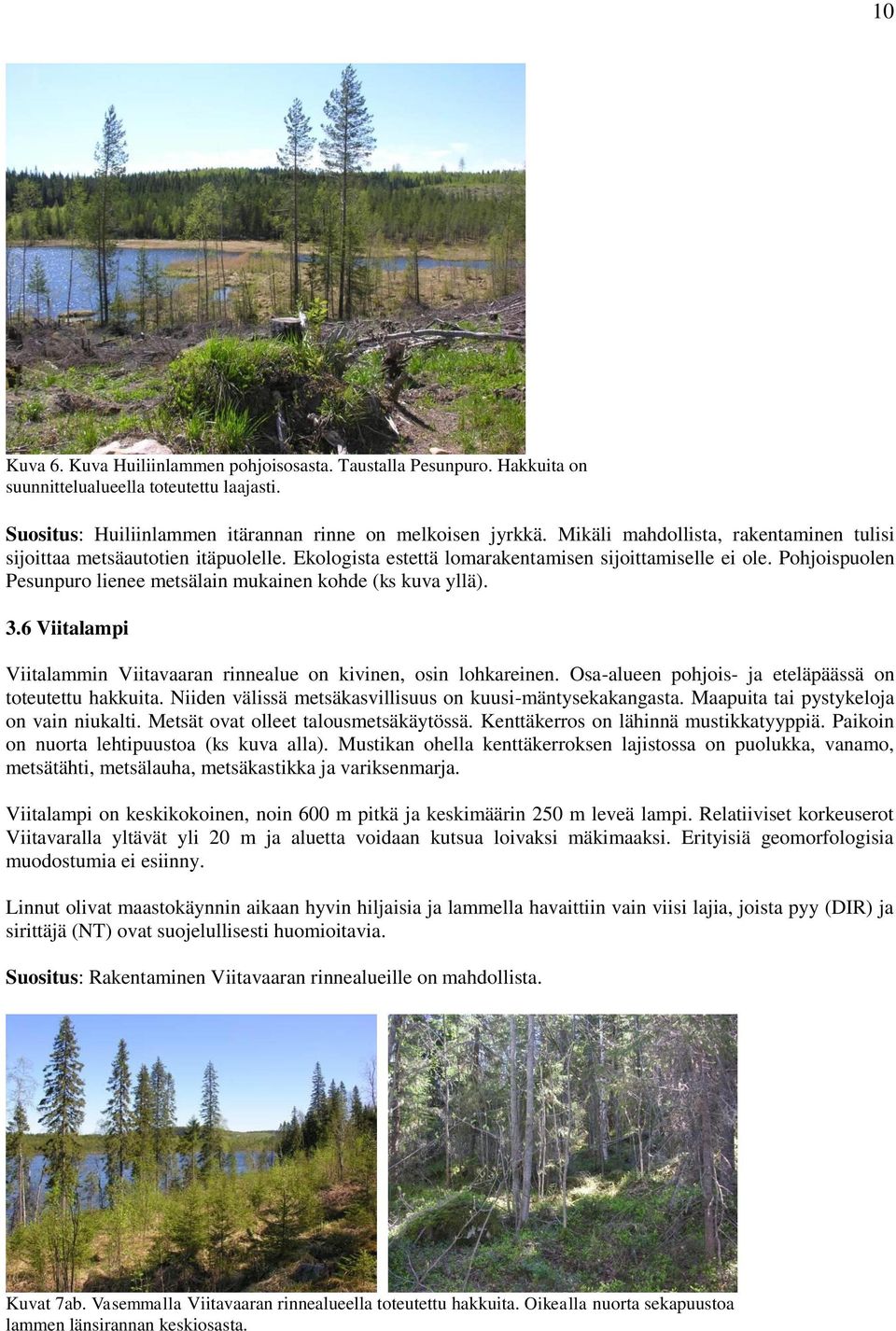 Pohjoispuolen Pesunpuro lienee metsälain mukainen kohde (ks kuva yllä). 3.6 Viitalampi Viitalammin Viitavaaran rinnealue on kivinen, osin lohkareinen.