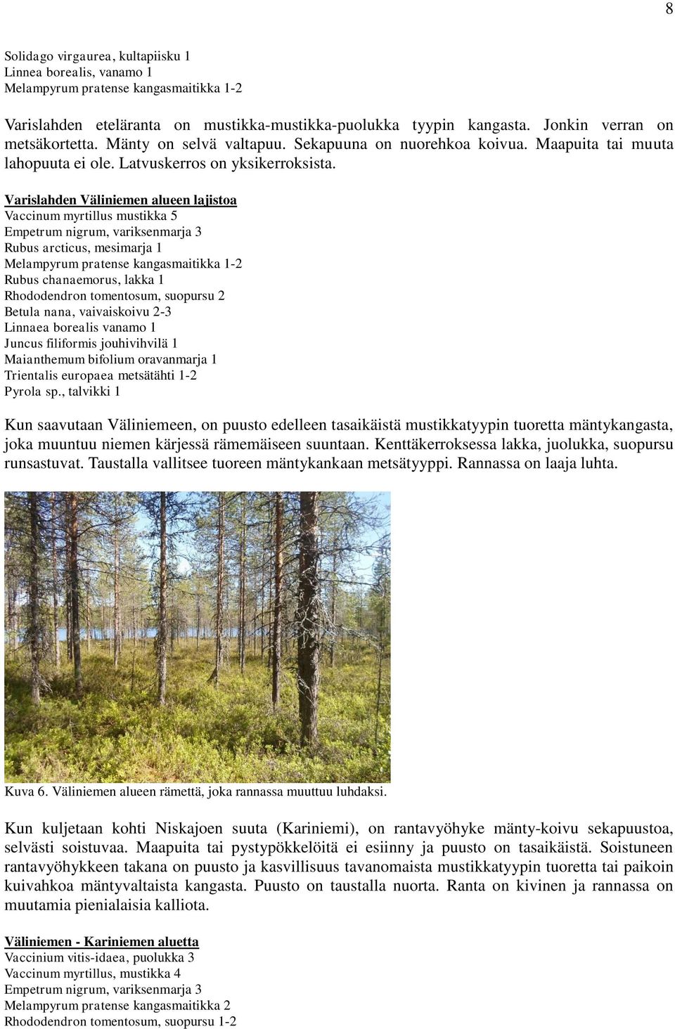 Varislahden Väliniemen alueen lajistoa Vaccinum myrtillus mustikka 5 Empetrum nigrum, variksenmarja 3 Rubus arcticus, mesimarja 1 Melampyrum pratense kangasmaitikka 1-2 Rubus chanaemorus, lakka 1