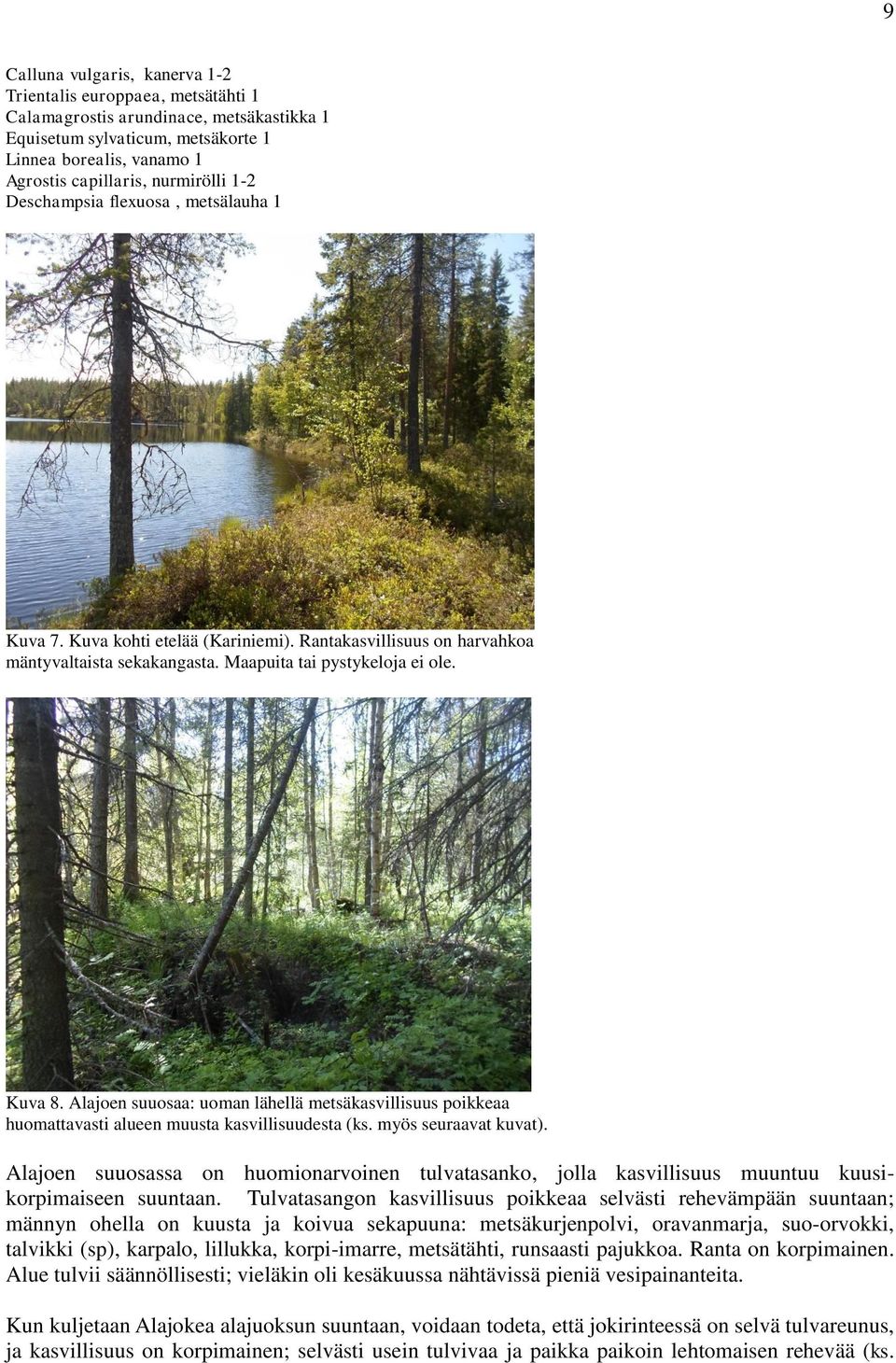 Alajoen suuosaa: uoman lähellä metsäkasvillisuus poikkeaa huomattavasti alueen muusta kasvillisuudesta (ks. myös seuraavat kuvat).