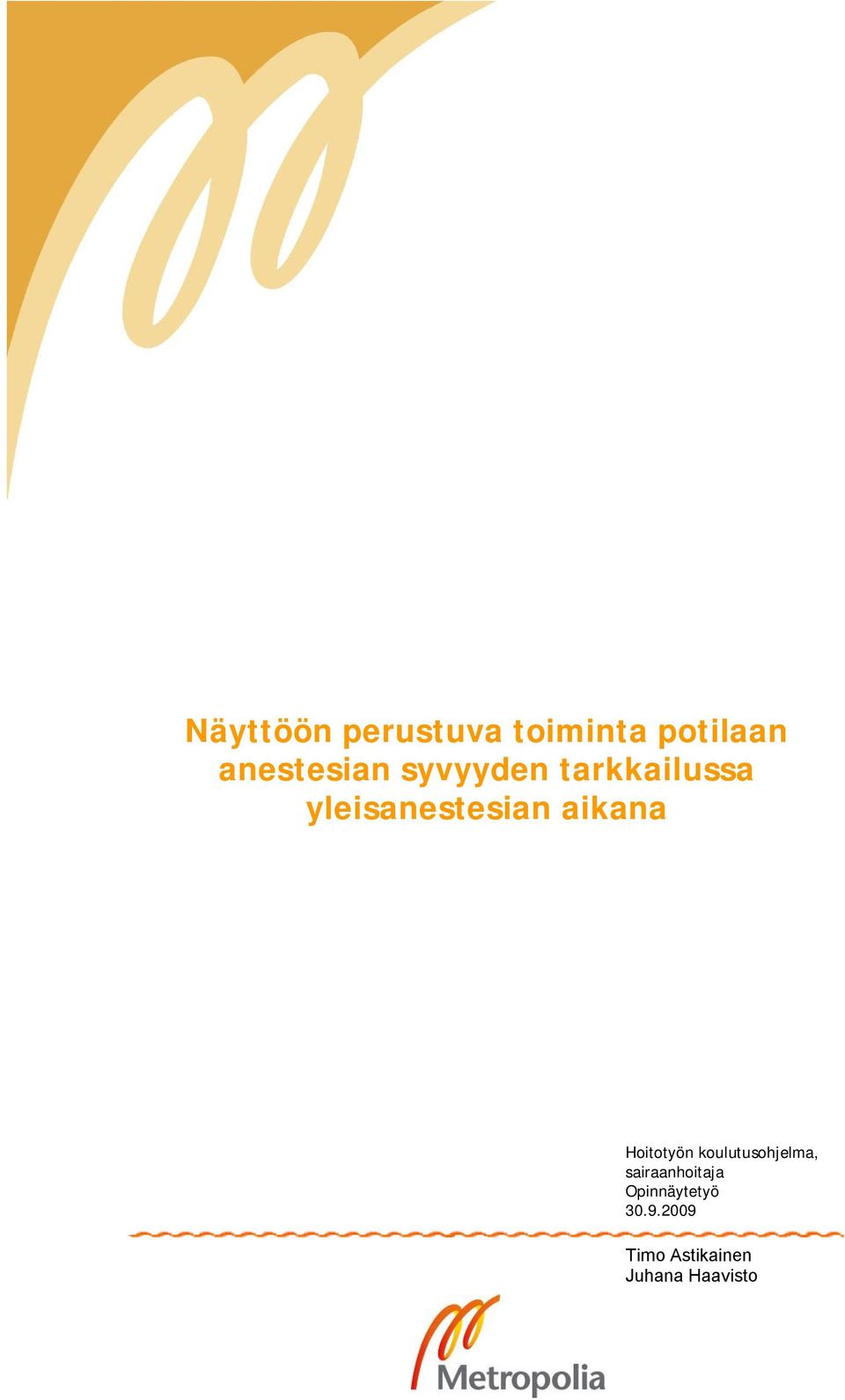 Hoitotyön koulutusohjelma, sairaanhoitaja