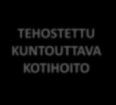 Kotihoidon asiakas: KOTI KUNTOUTUSYKSIKKÖ - KOTI Kuntoutuksen tavoite: Mahdollisuus siirtää lisä palvelujen käynnistymistä (3) SÄÄNNÖLLINEN JA RUNSAS KOTIHOITO ENSISIJAINEN TOIMENPIDE TAVOITTEELLINEN
