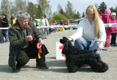 15.5.2005 Oulainen, tuomarina Annaliisa Heikkinen PN- 1 Jujucans Queen Of Hearts, sert, ROP Kuva: Heidi Pollari 15.5.2005 Halikko, tuomarina Markku Santamäki PN-1 Fin Ch Frosty Kiss Comeback In