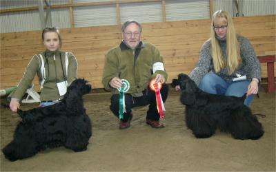 PU- 1 Krismyth Punch Adams, sert, VSP PU- 2 Tutucin La Boheme, varasert PN- 1 Tutucin Montana Moon, sert, ROP, RYP- 2 PN- 2 Jayntylover's Innocent Jade, varasert 16.4.