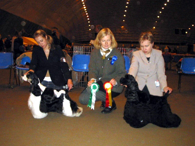 PU- 4 Nord,Fin,S,N CH Jujucans Peace Of Cake PN- 1 Truly Yours Magic- Trilogy sert CACIB VSP PN- 2 Jauntylover s Hot Pepper varasert varacacib PN- 3 Fin CH Comely Babycakes PN- 4