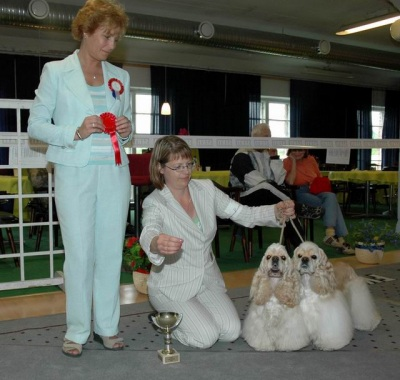 Käyttökokeessa palkitut: BIS-1 Fin Ch Aqua-Stone Prime Time Junior Handler: BIS-1 Noora Huttunen & Aqua-Stone Power Of Love Leikattuturkkiset: Uros: Fin Ch Aqua-Stone Prime Time, VSP Narttu: Fin Ch