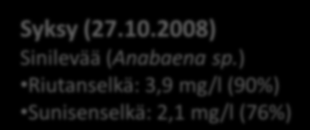 Levää 0-2 metrin kokoomanäytteissä elokuu 2008 huhtikuu 2009 Syksy (27.10.2008) Sinilevää (Anabaena sp.