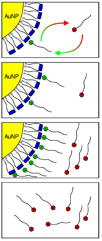 Complexation Studies, NMR, Guest More Complexant