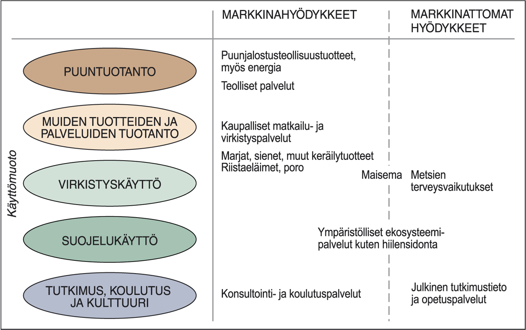 METSIEN KÄYTTÖMUODOT