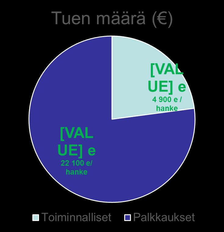 Vuoden 2013 hankkeet