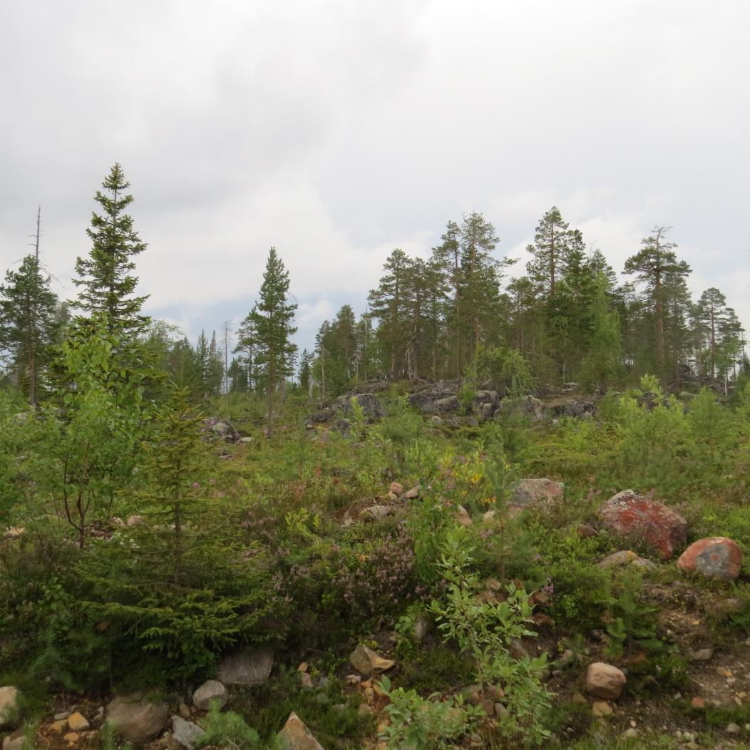 22 delliset lähtökohdat on otettu huomioon. Itsestään selvää on, että jos kaikki toiminnot pystytään sijoittamaan mahdollisimman suppealle alueelle, voidaan siten vähentää luonnon kuormittavuutta.