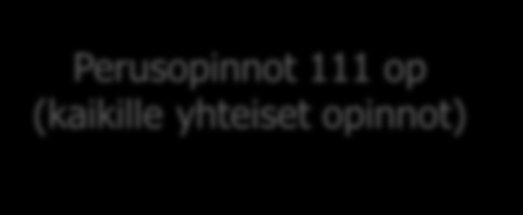 Perusopinnot Perusopinnot 111 op (kaikille yhteiset opinnot) 1.opintovuosi kaikille yhteinen, osa perusopinnoista myös 2. ja 3.