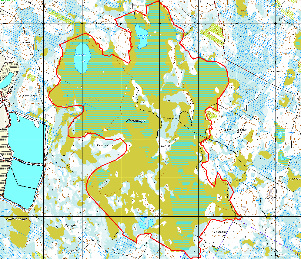 desta. Metsähallituksen paikkatietokannoista tarkastettiin, onko alueelta esimerkiksi luontoinventointien keräämiä kulttuuriperintöhavaintoja. Niitäkään ei ollut.