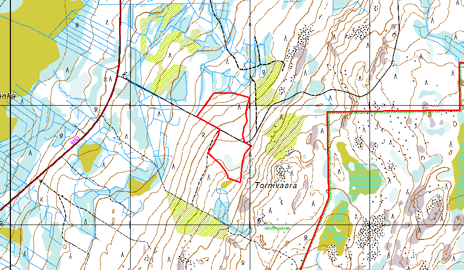 2.2 Tornivaara Torniaavan lehdon Natura 2000 alue sijaitsee Keminmaassa ja on vain 19 hehtaarin laajuinen.