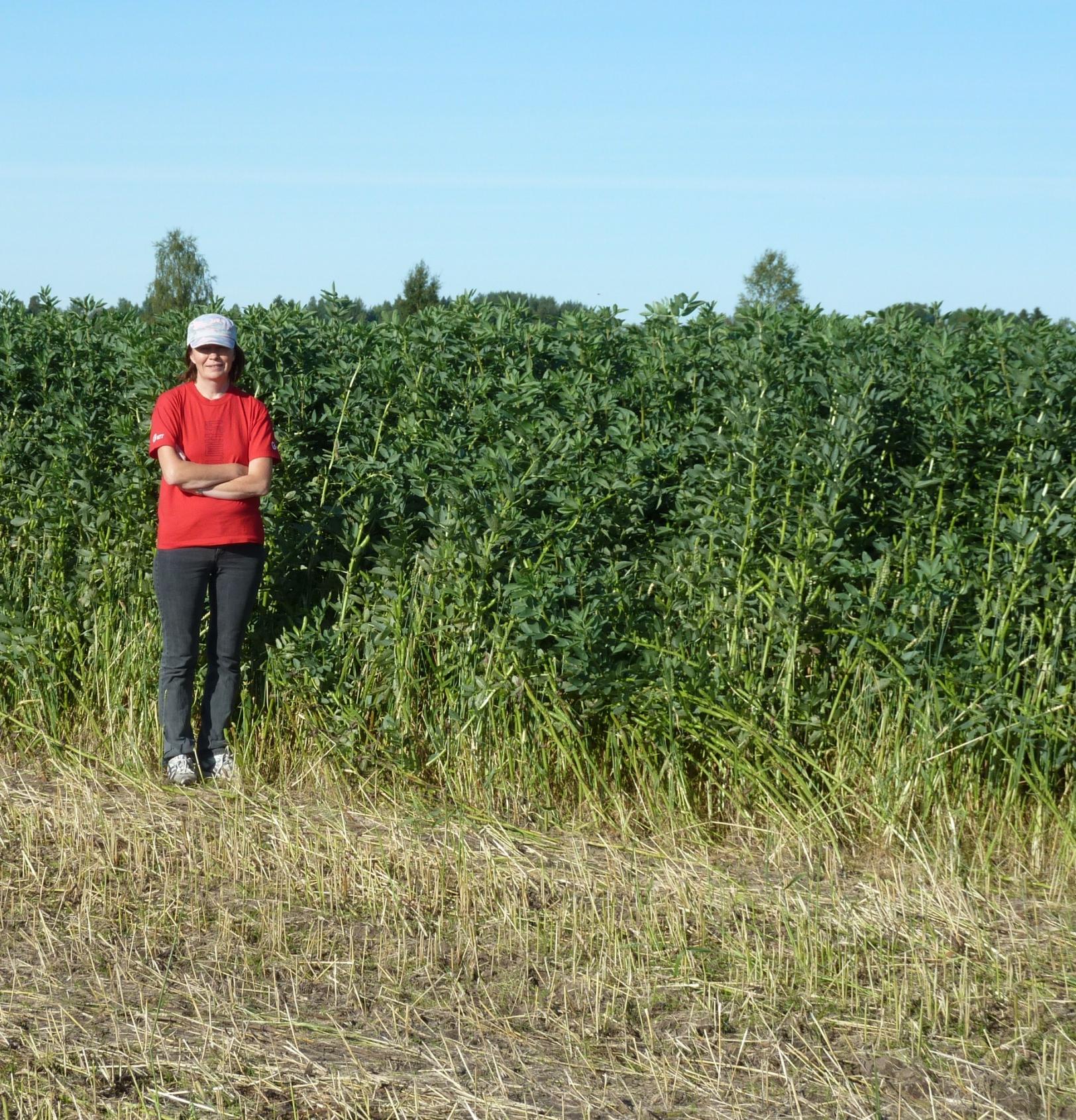 27.8.13 Kuva: