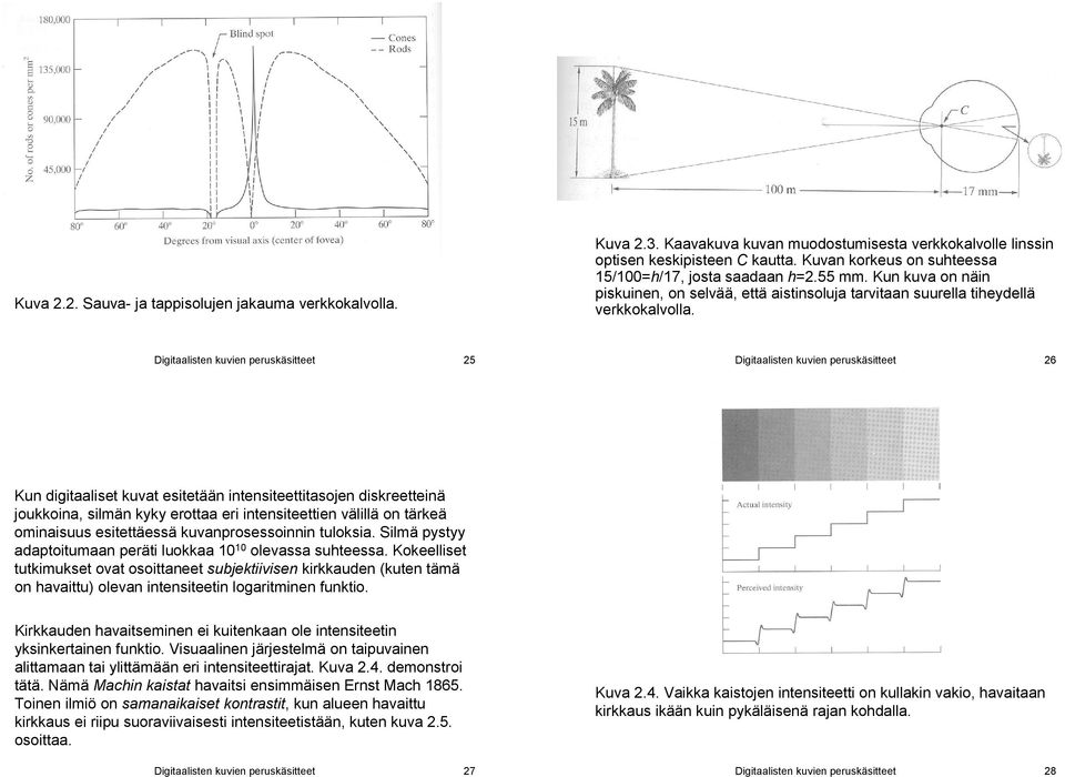 Digitlisten kuvien peruskäsitteet 25 Digitlisten kuvien peruskäsitteet 26 Kun digitliset kuvt esitetään intensiteettitsojen diskreetteinä joukkoin, silmän kyky erott eri intensiteettien välillä on