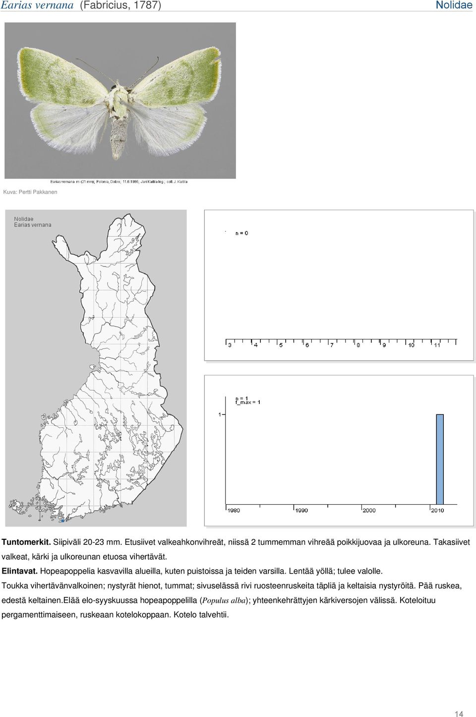 Hopeapoppelia kasvavilla alueilla, kuten puistoissa ja teiden varsilla. Lentää yöllä; tulee valolle.