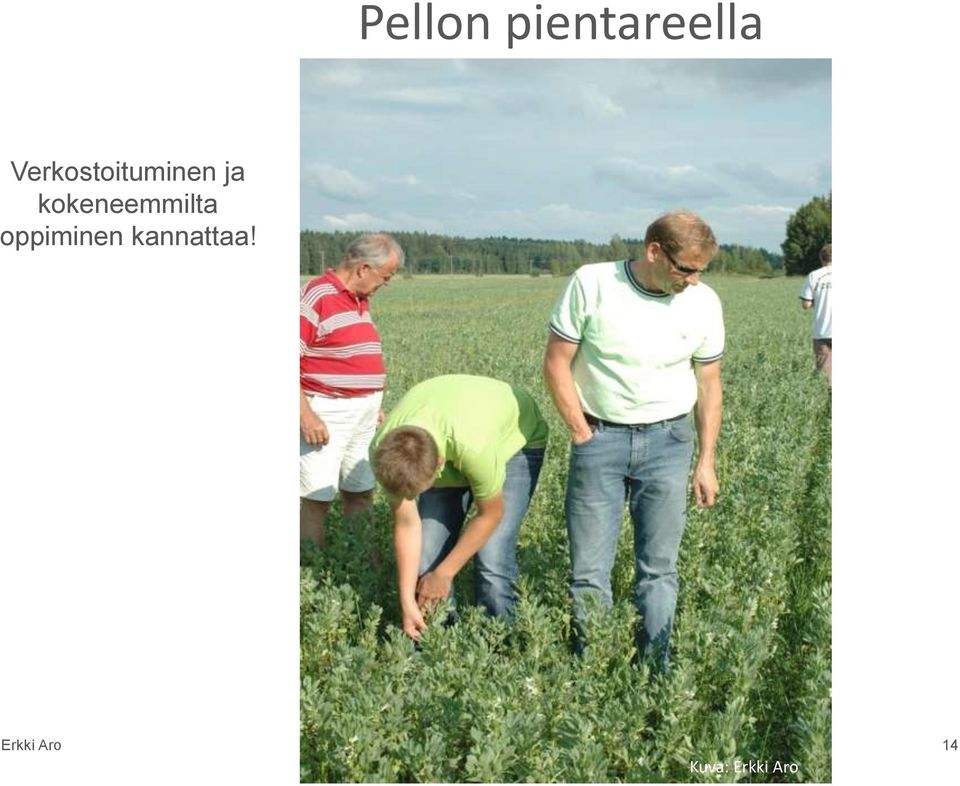 kokeneemmilta oppiminen