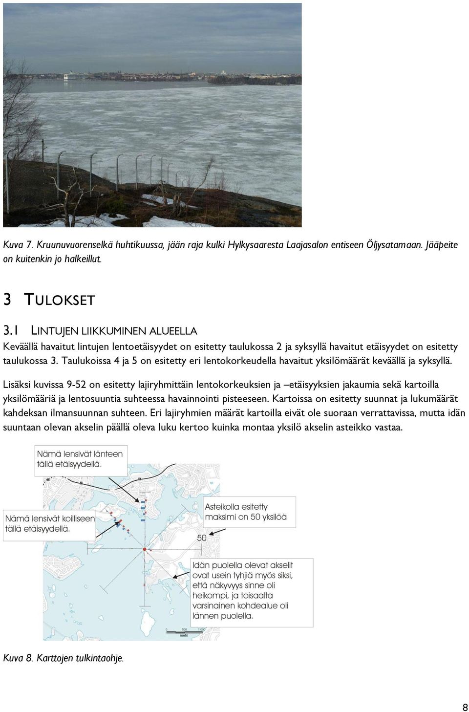 Taulukoissa 4 ja 5 on esitetty eri lentokorkeudella havaitut yksilömäärät keväällä ja syksyllä.