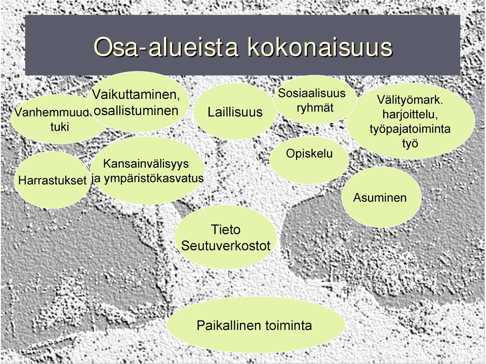 ympäristökasvatus Laillisuus Tieto Seutuverkostot Sosiaalisuus,