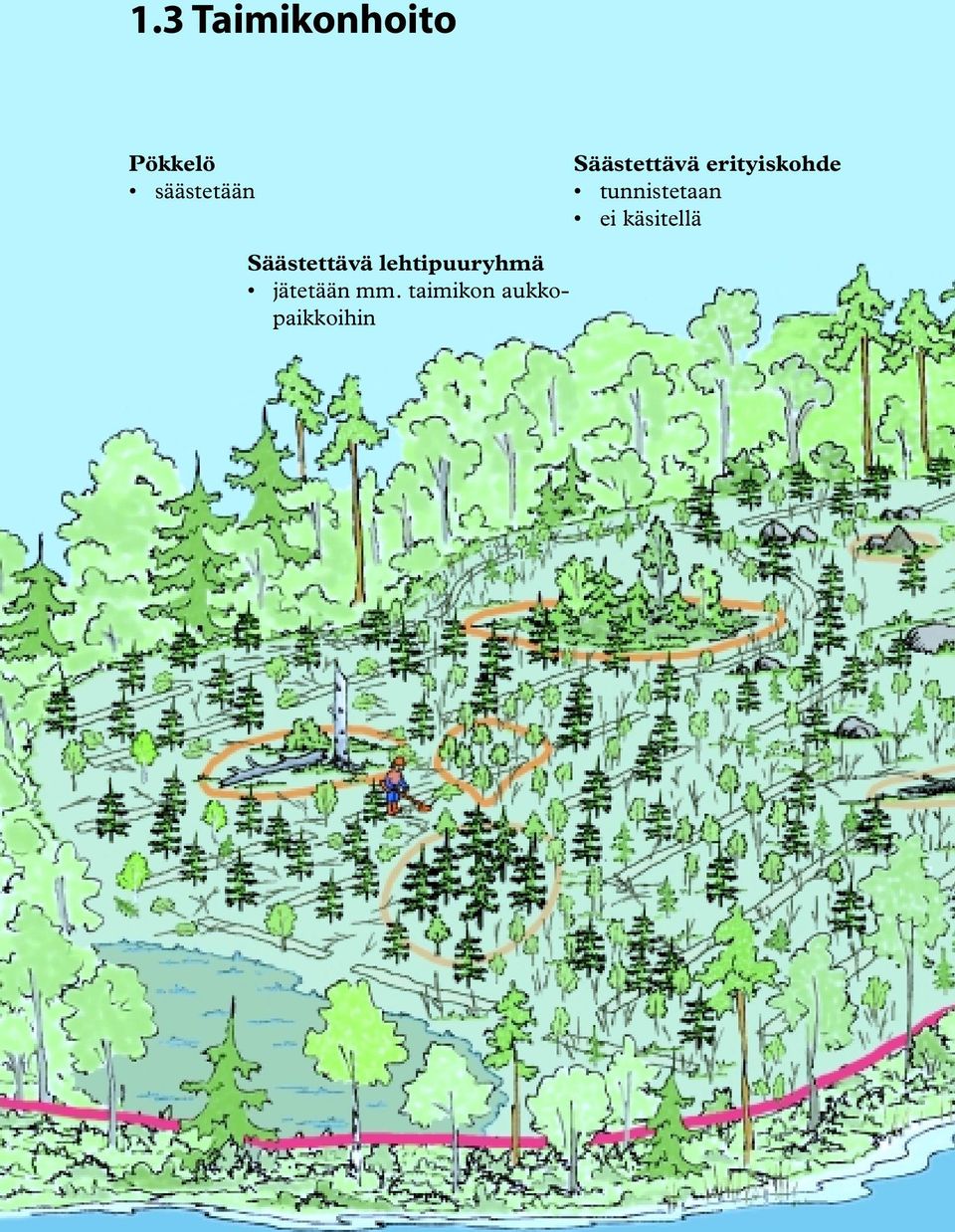 käsitellä Säästettävä lehtipuuryhmä jätetään