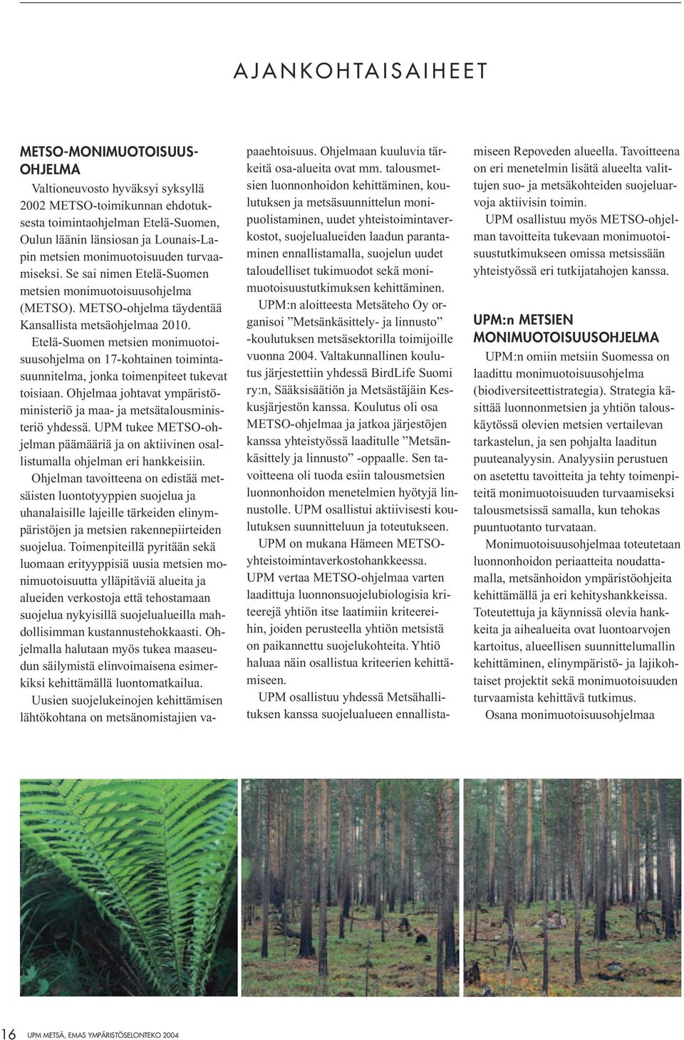 taloudelliset tukimuodot sekä monimuotoisuustutkimuksen kehittäminen. UPM:n aloitteesta Metsäteho Oy organisoi Metsänkäsittely- ja linnusto -koulutuksen metsäsektorilla toimijoille vuonna 2004.