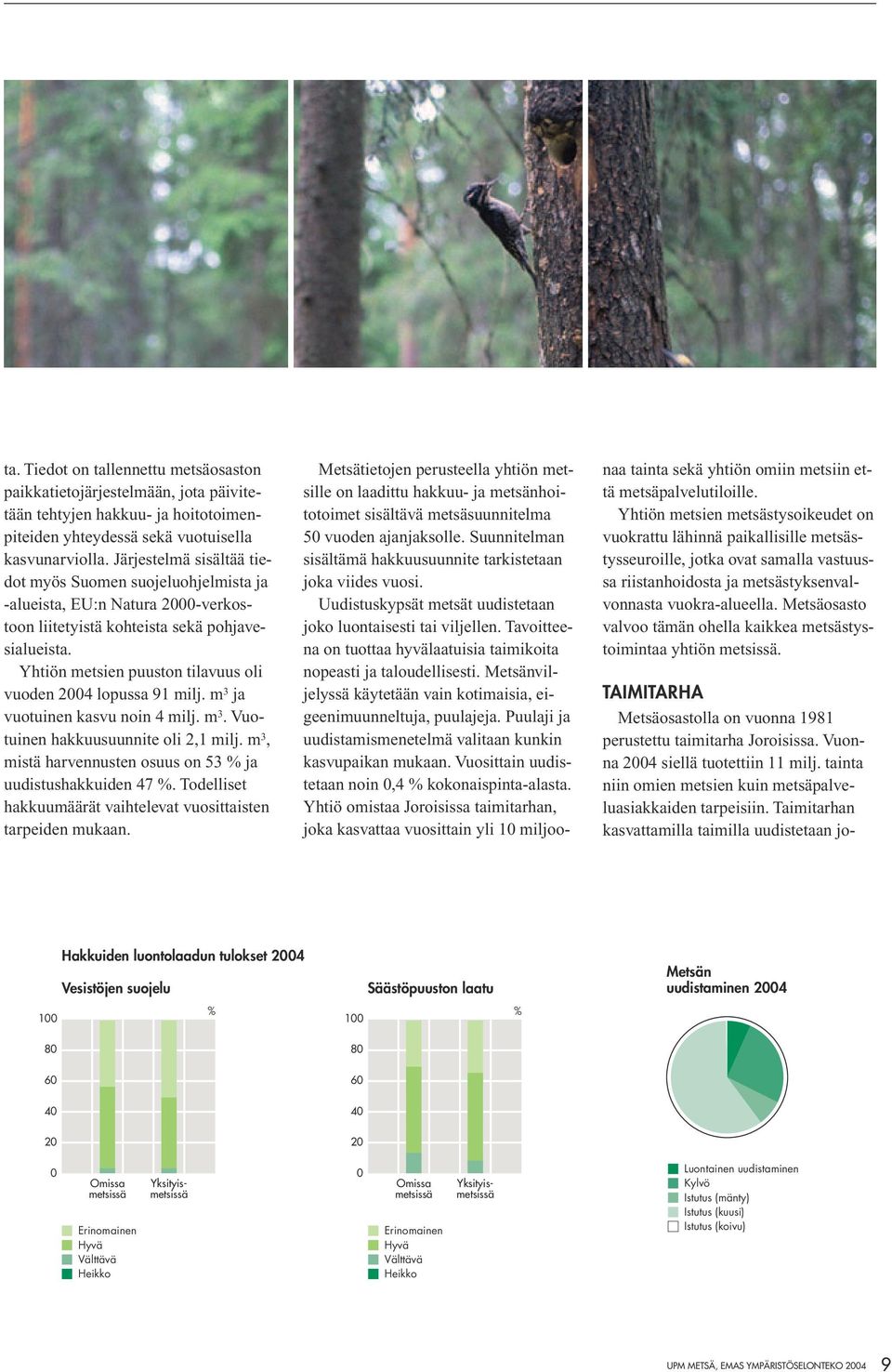 Yhtiön metsien puuston tilavuus oli vuoden 2004 lopussa 91 milj. m 3 ja vuotuinen kasvu noin 4 milj. m 3. Vuotuinen hakkuusuunnite oli 2,1 milj.